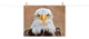 Bald Eagle Portrait Close-up 2 Loose Wall Art Print, 18" X 24"