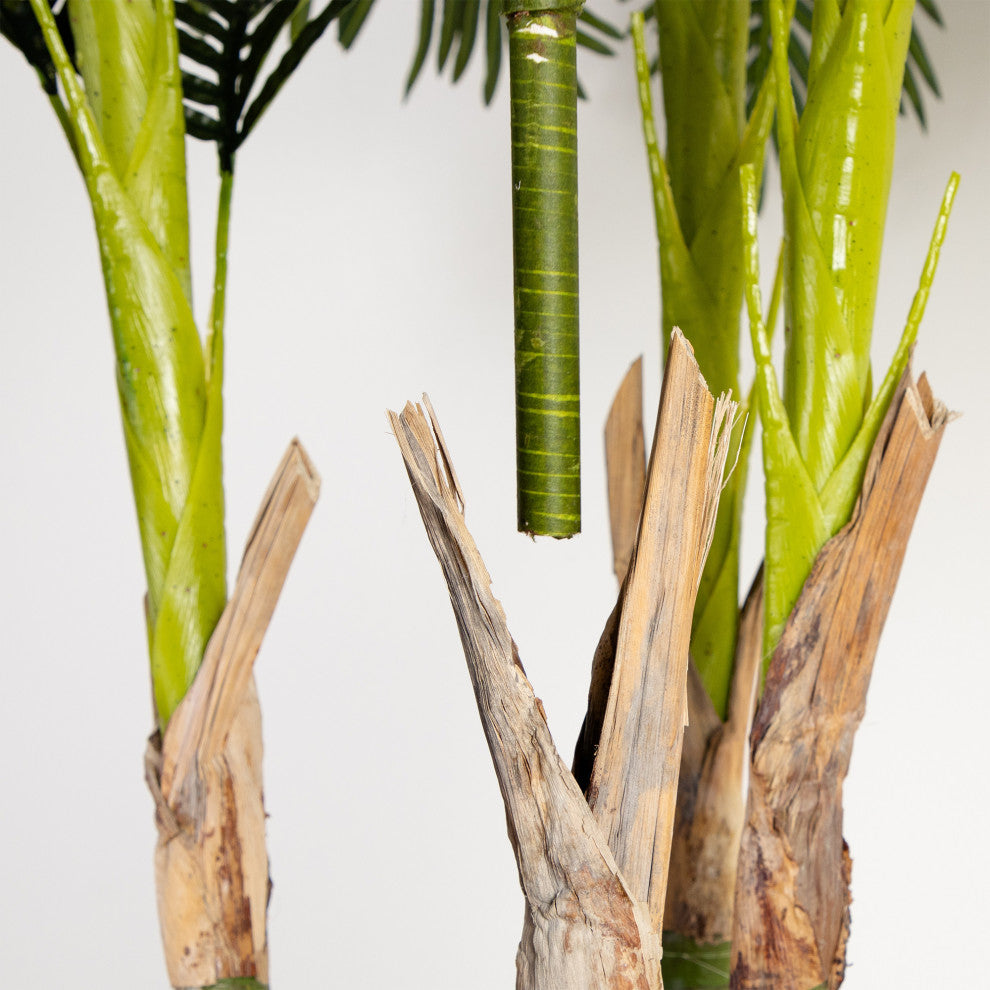 Close-up of stems/trunk on white background