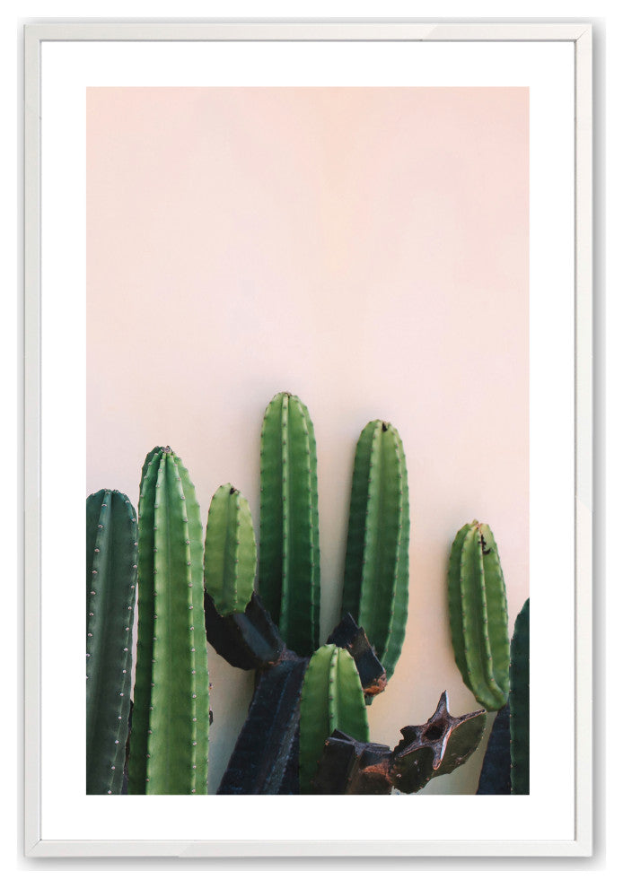 Opaque White 18" x 24" Prickly Beauty Framed Print