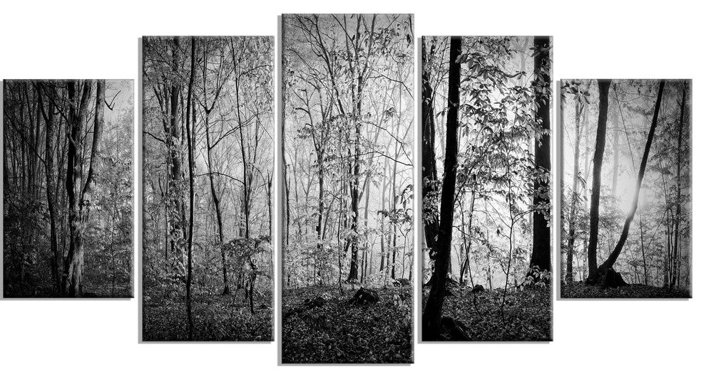 Morning in Thick Fall Forest, Landscape Canvas Art Print, 60"x32", 5 Panels