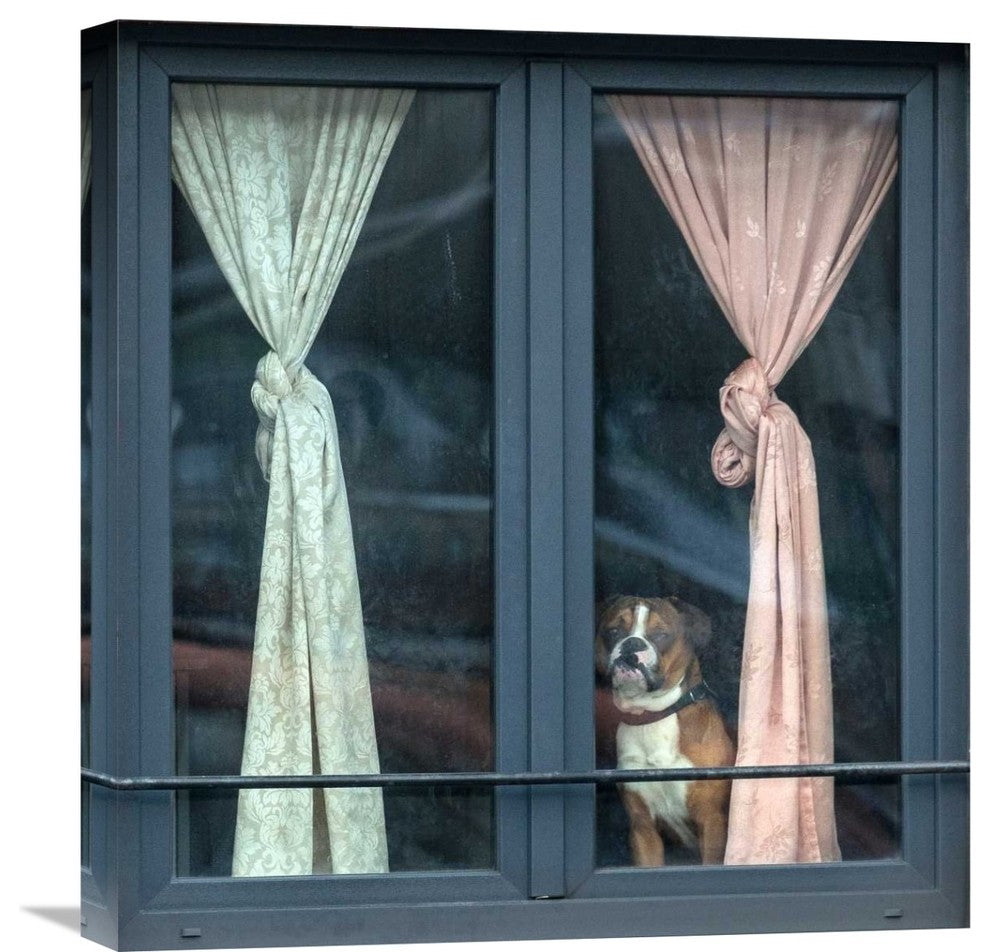 "Looking For His Buddy" Stretched Canvas Giclee by Jef Van Den, 21x22"