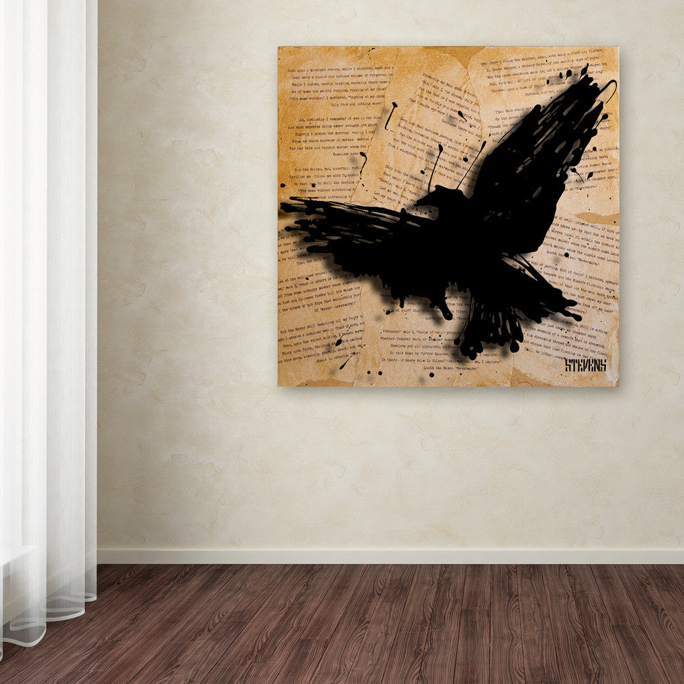 ''The Raven 2'' Canvas Art by Roderick Stevens
