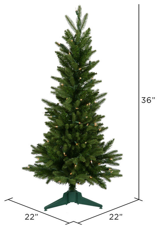 36" X 22" Fraser Fir Dura-Lit 100Cl 218