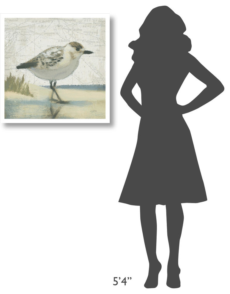 "Beach Bird I" Digital Paper Print by James Wiens, 26"x26"