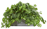Nepthytis Artificial Plant, Stone Planter
