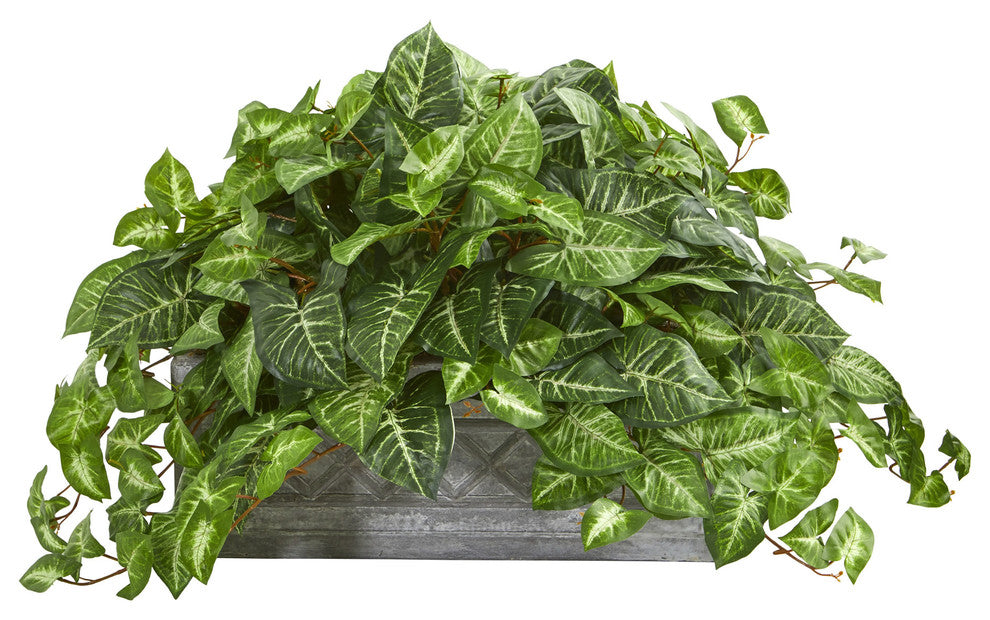 Nepthytis Artificial Plant, Stone Planter