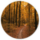 Path In The Yellow Fall Forest, Forest Disc Metal Wall Art, 11"