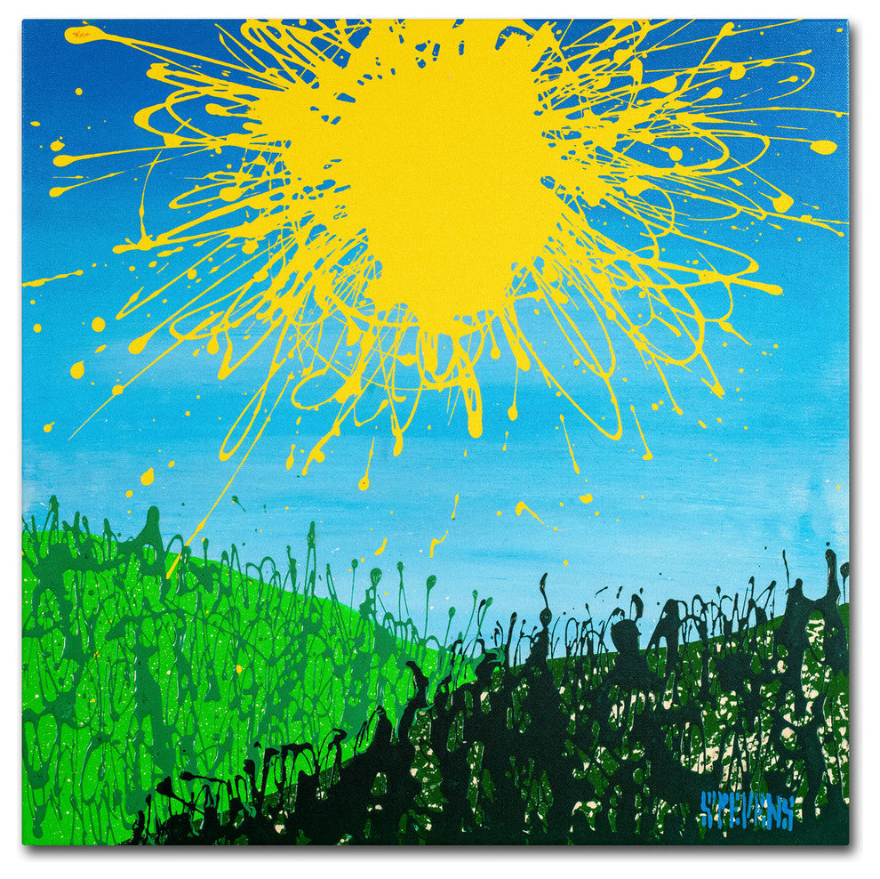 'Sun Valley' Canvas Art by Roderick Stevens
