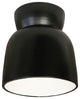 Hourglass Outdoor Flush-Mount, Carbon/Matte Black, Incandescent
