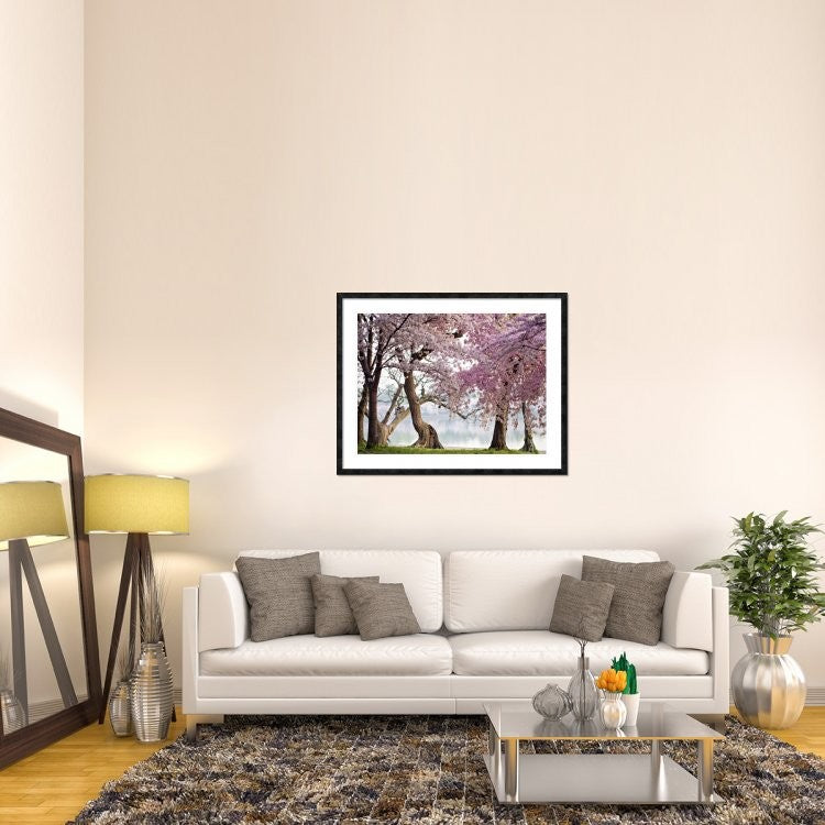 "Cherry trees bloom, Washington, USA" Framed Digital Print by Anonymous, 48x38"