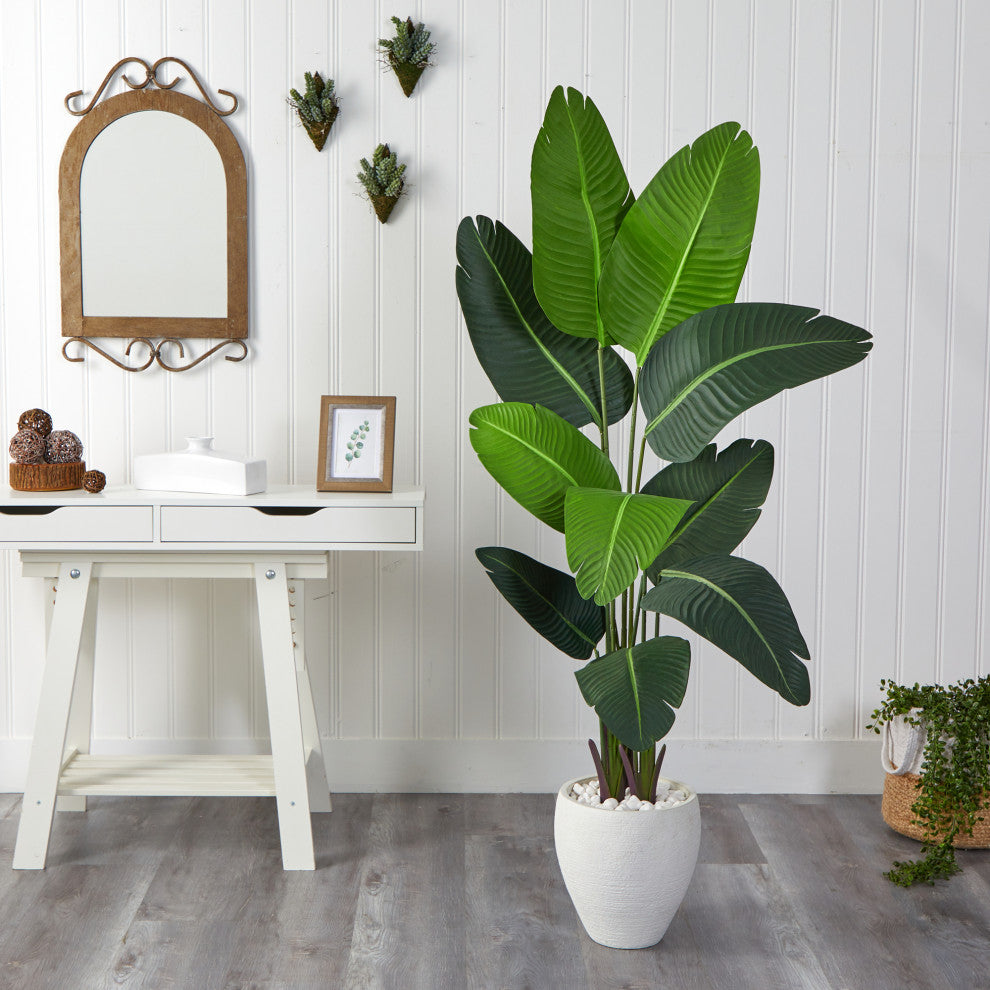5.5' Travelers Palm Artificial Tree, White Planter