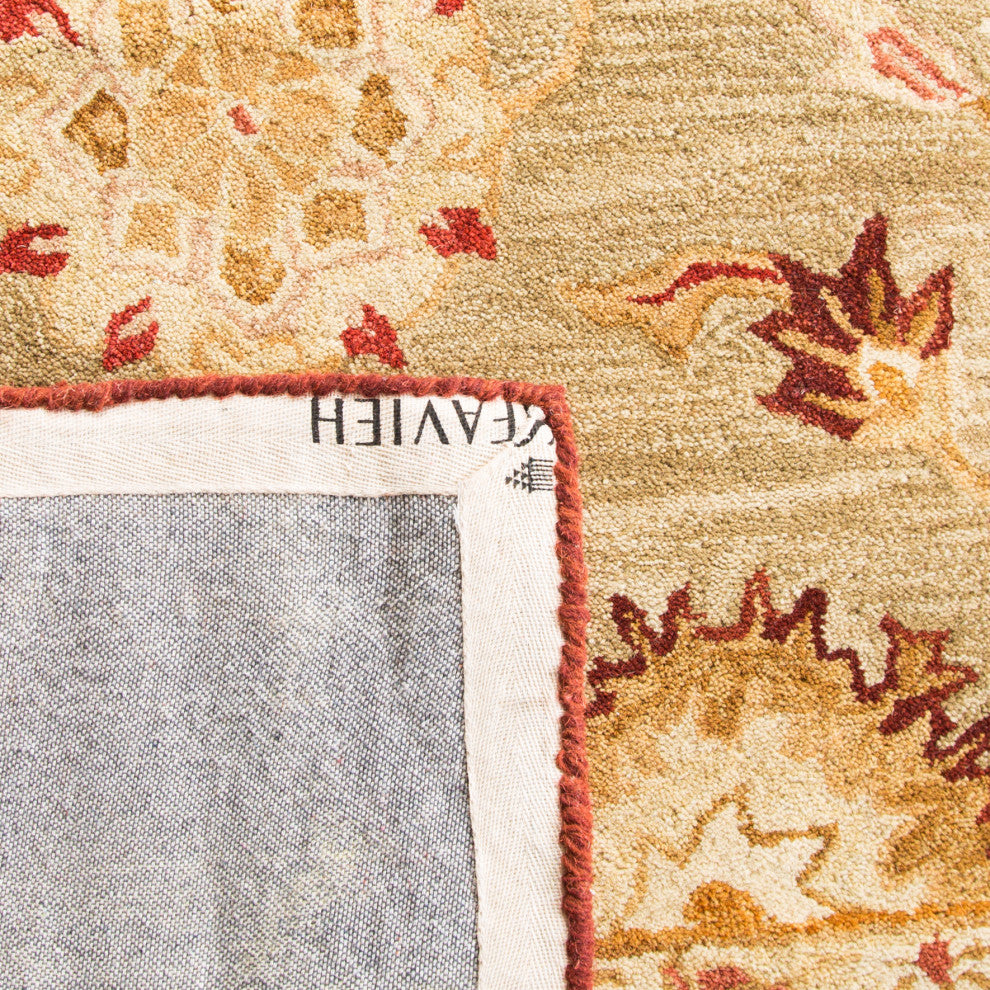Safavieh Anatolia Collection AN556 Rug, Sage/Burgundy, 9'x12'