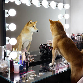 Hollywood Premiere Plus Vanity Mirror, Black, Bluetooth