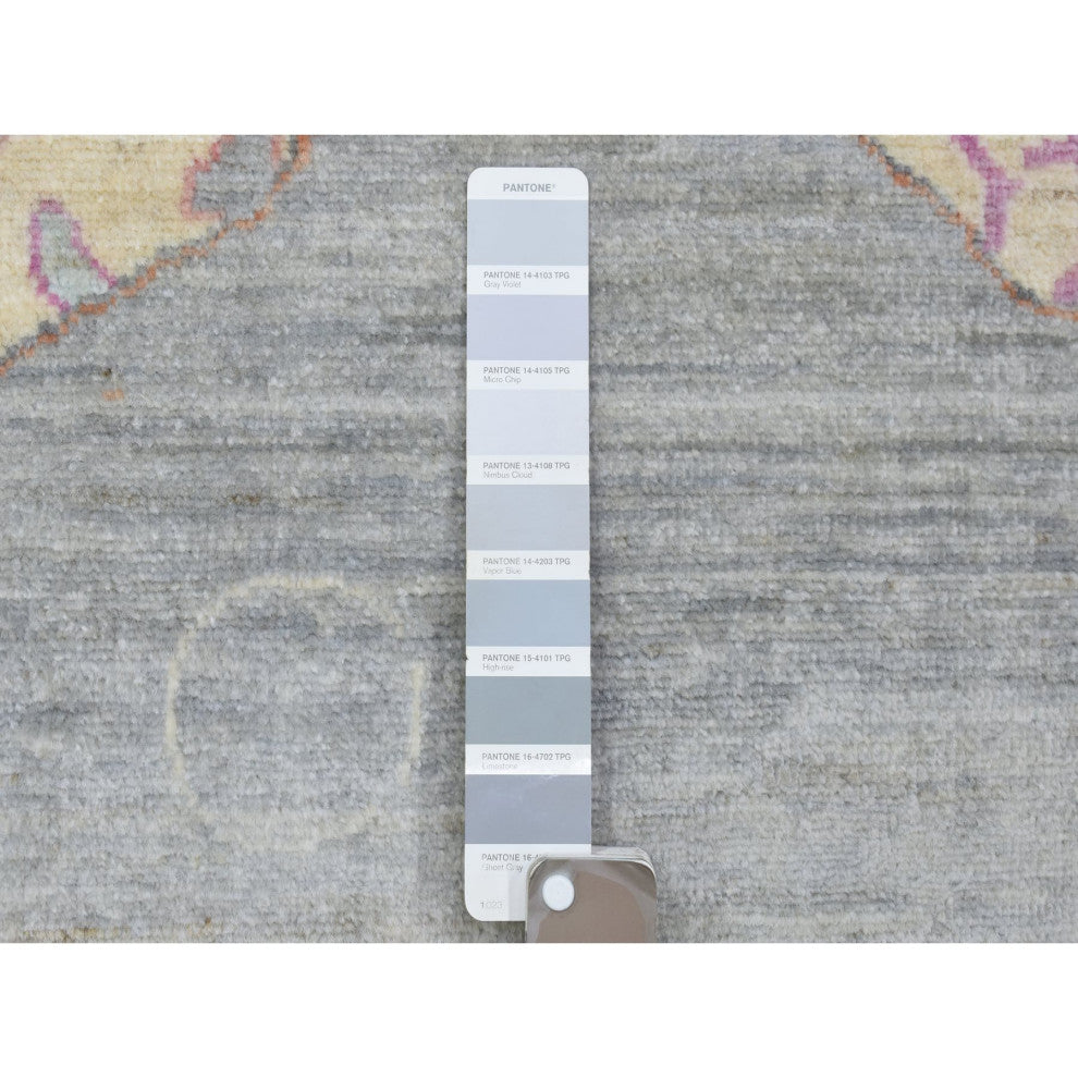 Light Gray, Soft Wool Hand Knotted, Afghan Peshawar Oriental Rug, 9'2"x11'9"