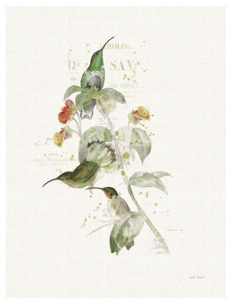 "Colorful Hummingbirds III" Digital Paper Print by Katie Pertiet, 14"x18"