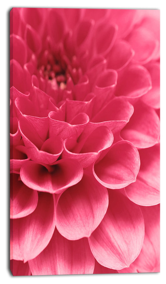Soft Rose Abstract Flower Petals, Floral Canvas Art Print, 16"x32"