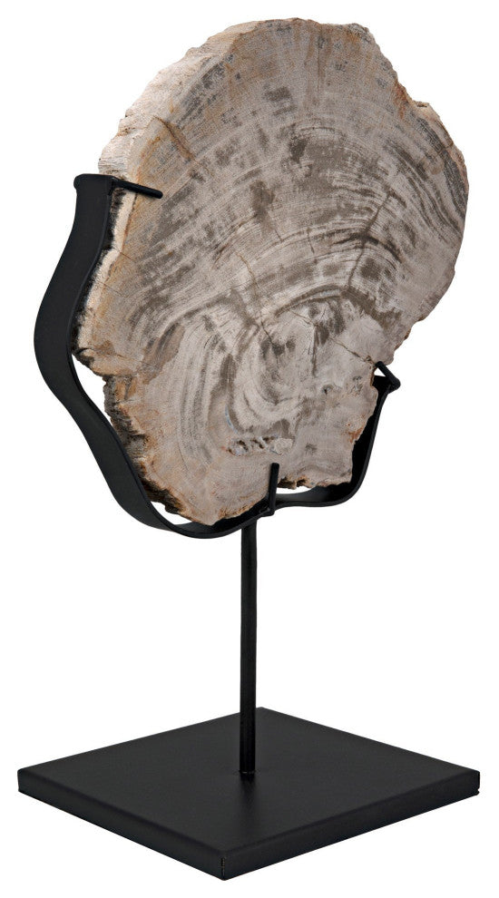 Wood Fossil with Stand, 8"