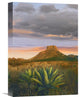 "Lechuguilla Agave And  Casa Grande, Big Bend National Park, Texas" Artwork