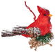 Cardinal Ornament With Pine Needle