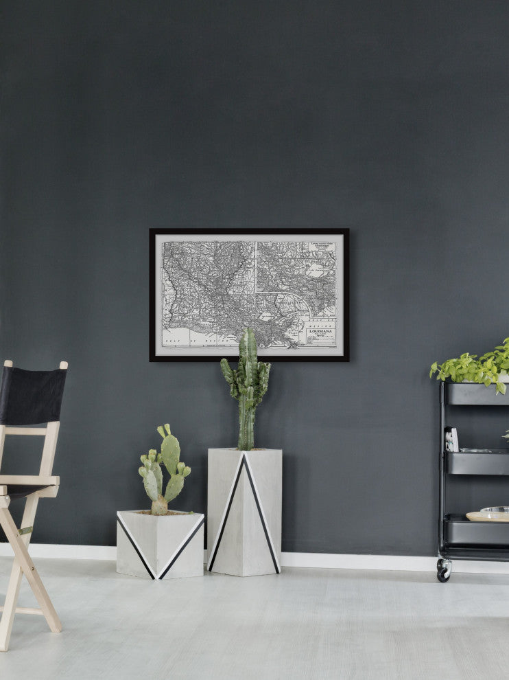 "Louisiana Plan" Framed Painting Print, 45x30