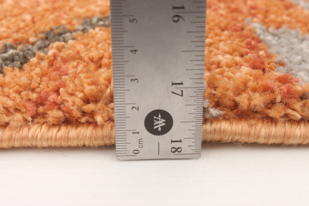Ariella Boho Chic Area Rug