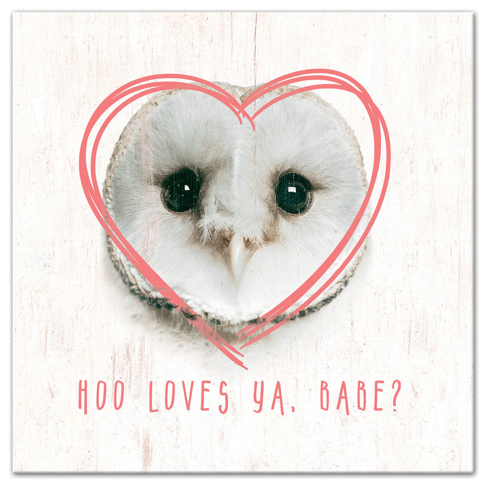 Owl Love 20x20 Canvas Wall Art