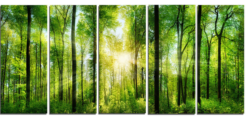 "Forest With Rays of Sun" Panorama Landscape Canvas Print, 5 Panels, 60"x28"