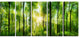 "Forest With Rays of Sun" Panorama Landscape Canvas Print, 5 Panels, 60"x28"