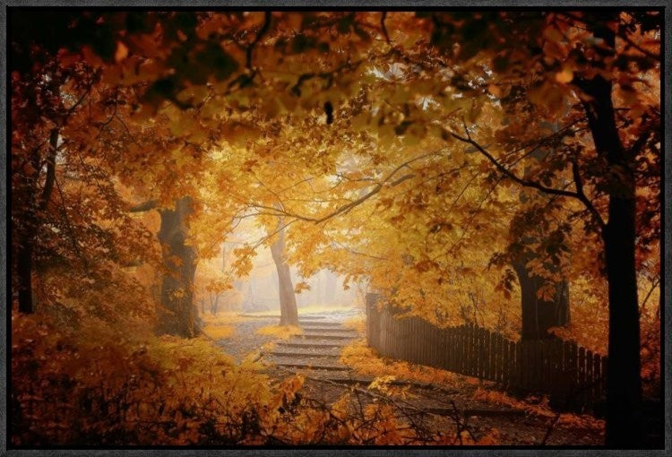 "Turn To Fall" Framed Canvas Giclee by Ildiko Neer, 23x16"