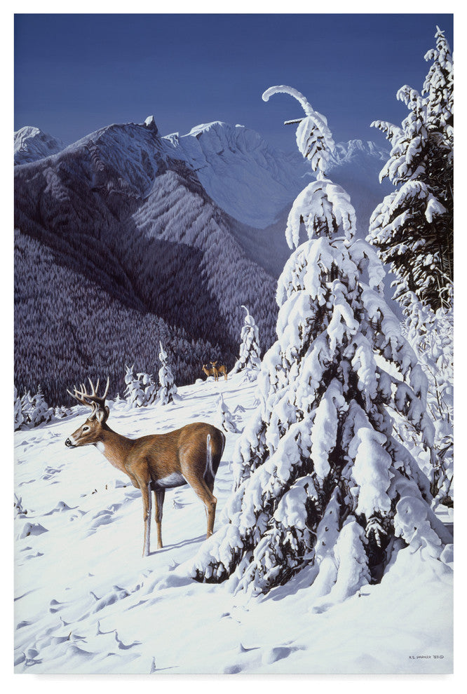 Ron Parker ''Whitetail Deer'' Canvas Art, 47"x30"