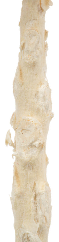 Vickerman 8" Queen Flower Stem, Dried