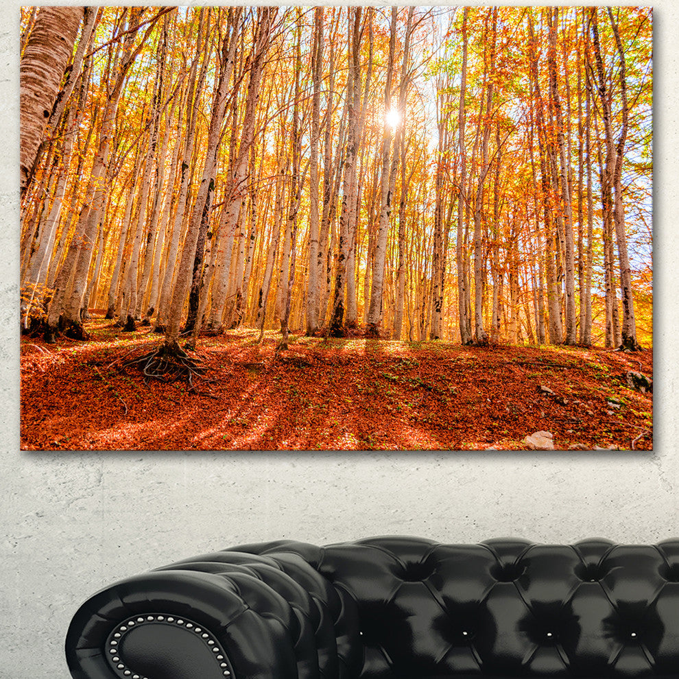 Colorful Red Forest at Sunset, Modern Forest Canvas Art, 40"x30"