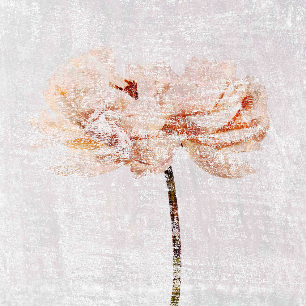 "Symphony VII" Painting Print on Canvas by Aryai