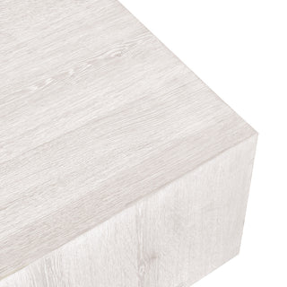 Layne 42" Square Coffee Table With Casters by Kosas Home, White Wash