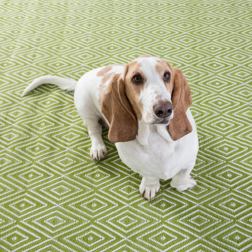Dash & Albert Diamond Sprout/White Handwoven Indoor/Outdoor Rug, Green, 4' x 6'