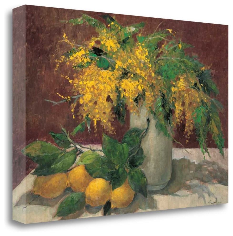 "Mimosas Y Limones" By J. Ripoll, Giclee Print on Gallery Wrap Canvas