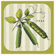 "Linen Vegetable IV" Digital Paper Print by Studio Mousseau, 20"x20"