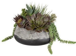 Gobi Succulent Centerpiece