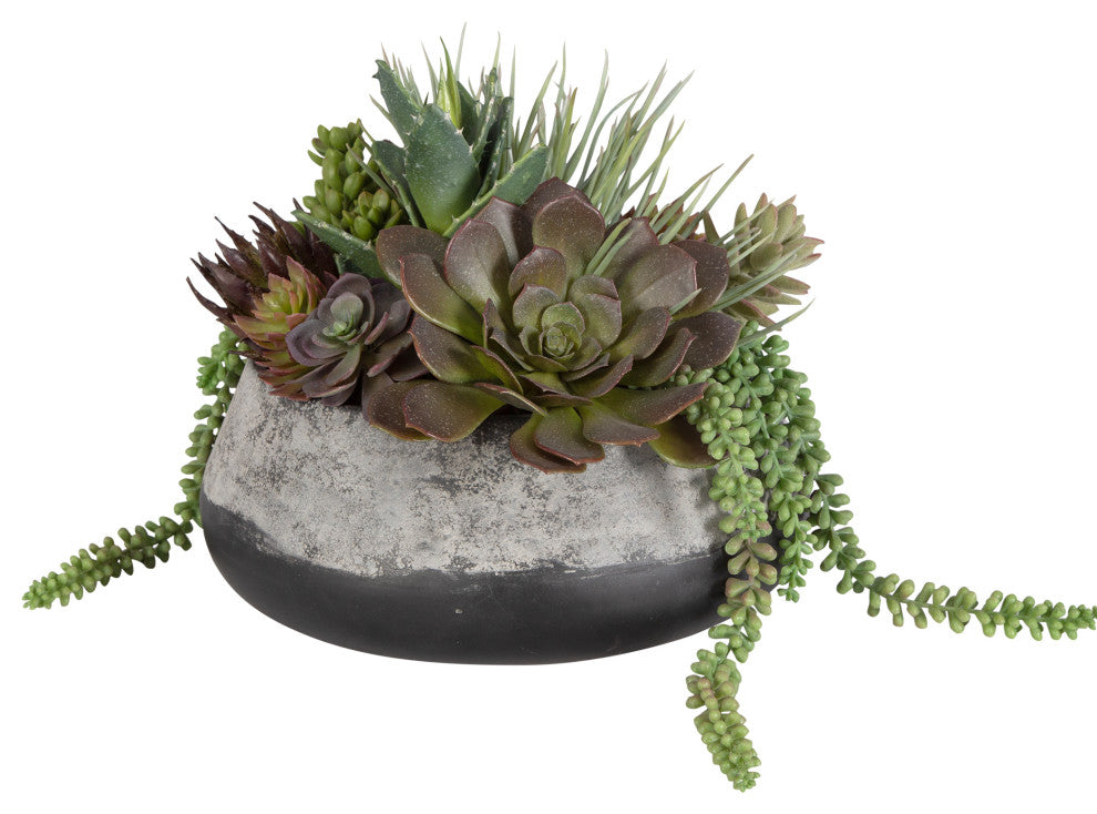 Gobi Succulent Centerpiece