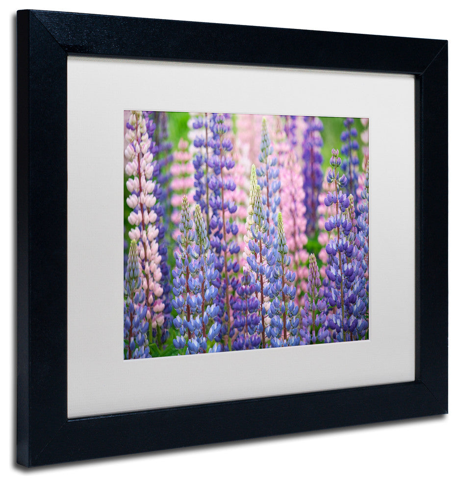 Cora Niele ''Blue Pink Lupine Flowers'' Matted Framed Art