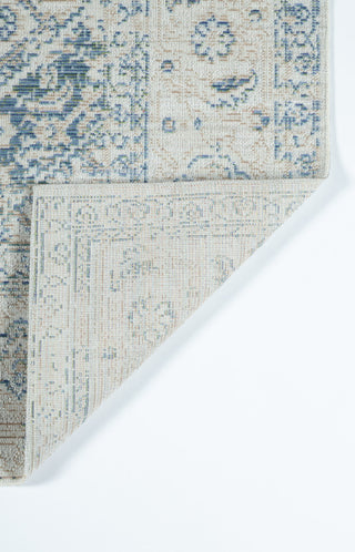 Momeni Isabella Traditional Area Rug, Blue, 2'x3'