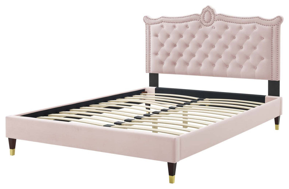 Platform Bed Frame, Nailhead, Queen Size, Pink, Velvet, Modern, Guest Suite