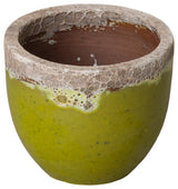Lime Ceramic Reef Round Planter, 9" Diameter