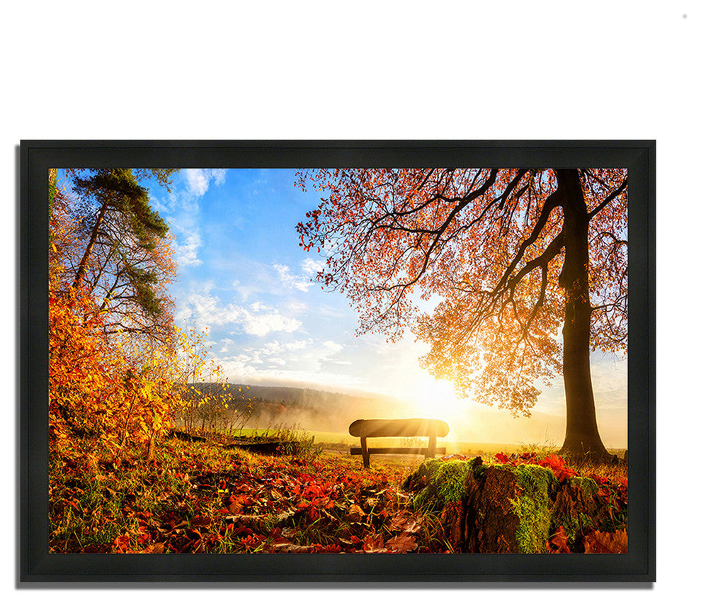 "Warmly Illumining", Framed Photograph Print, Ready To Hang