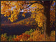 Autumn Deciduous Forest, Shenandoah National Park, Virginia, 32"x24"