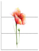 "Red Poppy Flower With Large Petals" Metal Wall Art, 3 Panels, 28"x36"