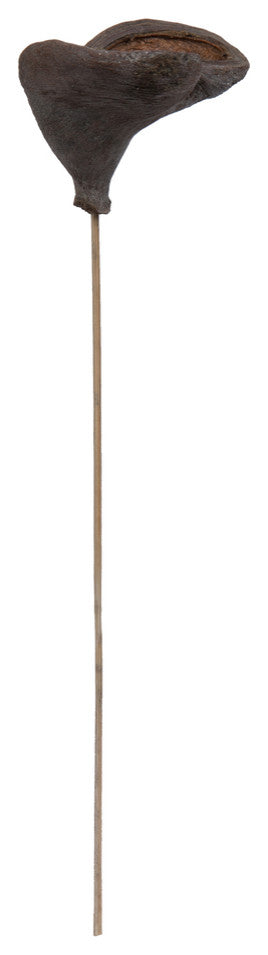 Vickerman Natural Botanicals 20" Stem Badam, Includes 25 Stems Per Pack