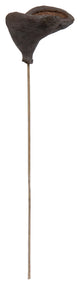 Vickerman Natural Botanicals 20" Stem Badam, Includes 25 Stems Per Pack