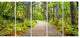 Wooden Boardwalk across Forest, Landscape Canvas Art Print, 60"x28", 5 Panels