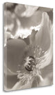 "Florison - 7" By Alan Blaustein, Giclee Print on Gallery Wrap Canvas
